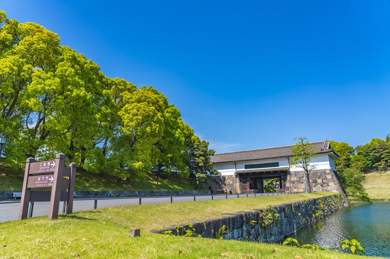 Japan City Tour: Discover Tokyo's Imperial Palace and Edo Castle History