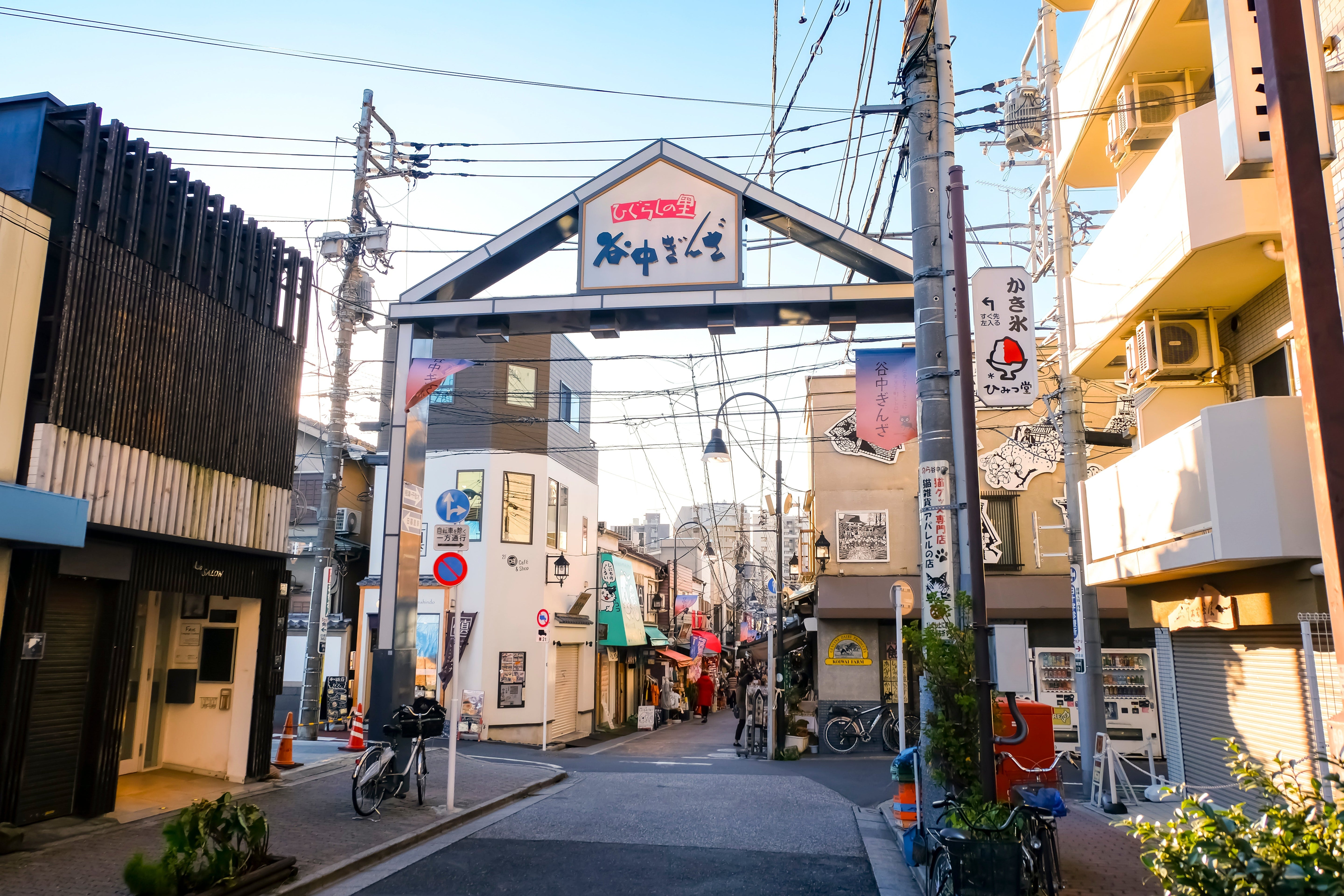 Tokyo Tips: Discover Hidden Tokyo with the Ueno Course Yanaka Route
