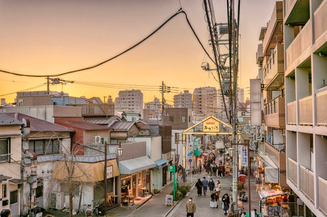 Ueno Walking Tour_ Experience Traditional Tokyo with the Ueno Course Yanaka Route