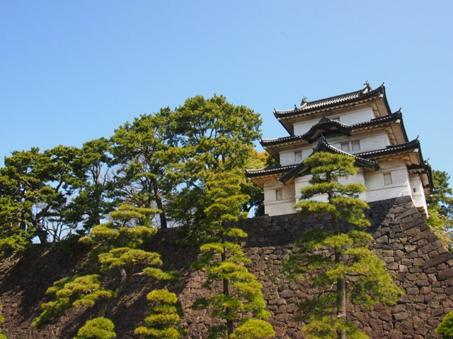 Japan’s Imperial Heritage: Explore Tokyo’s Historical Landmarks with the Imperial Palace & Edo Castle Tour
