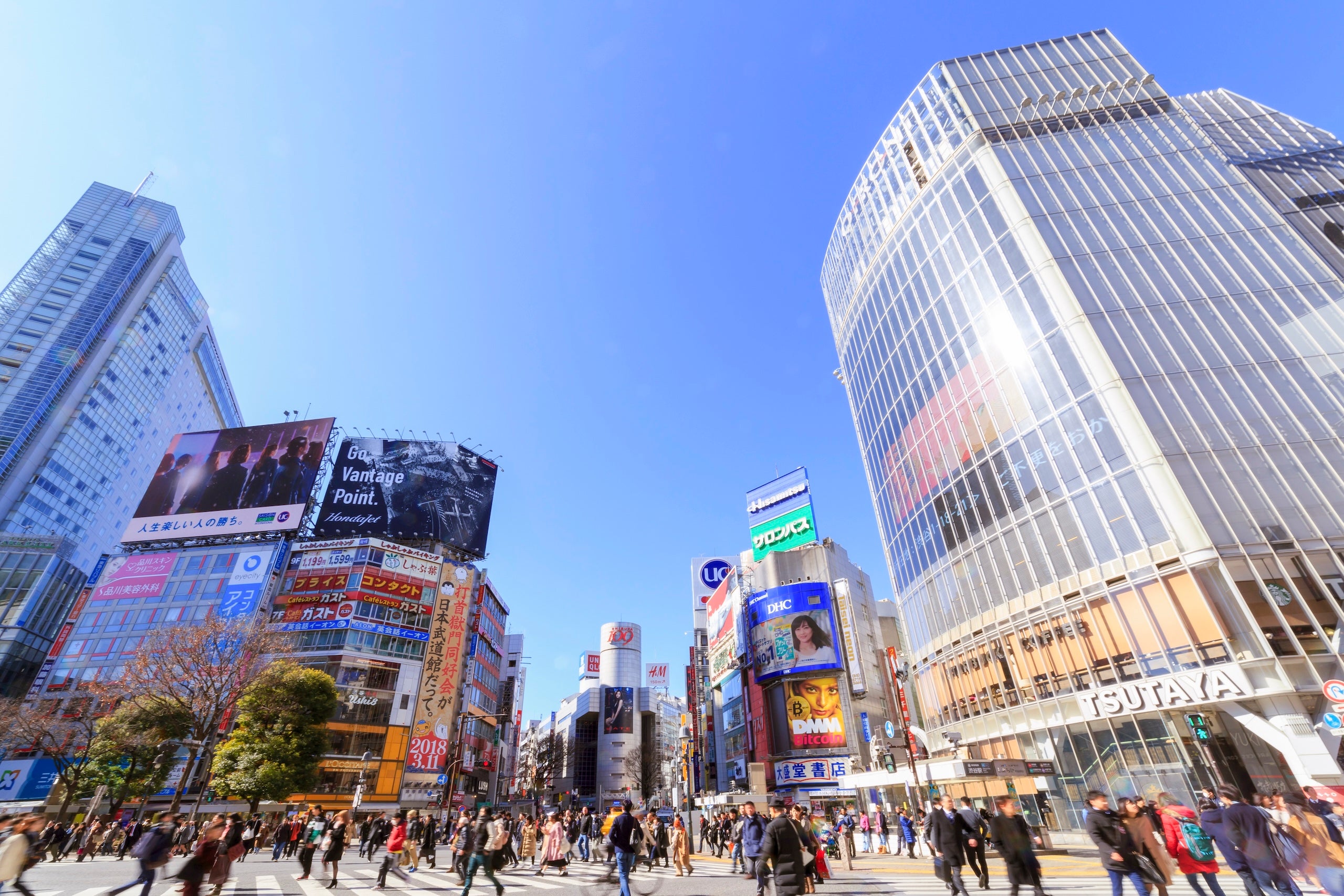 Shibuya Station Area Course